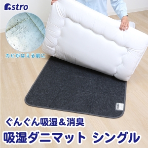 アストロ アストロ 消臭炭入ドライ&ドライ吸湿防ダニマット シングル 615-01