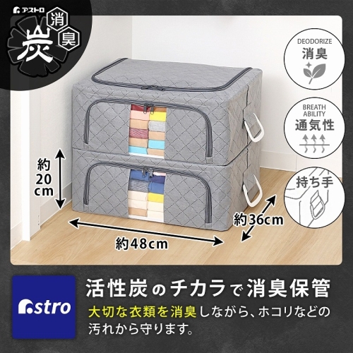  アストロ アストロ WIREDcase 消臭炭入衣類整理用中 グレー 620-32