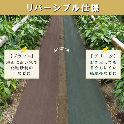  アストロ アストロ 園芸用防草シートリバーシブル 1×5m 624-01