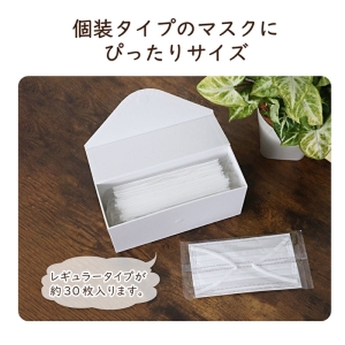  アストロ アストロ マグネット付マスクケース White 703-15