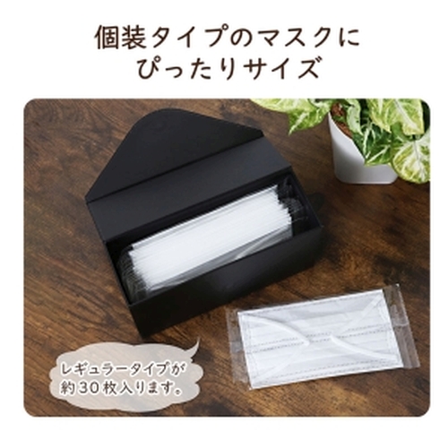  アストロ アストロ マグネット付マスクケース Black 703-16