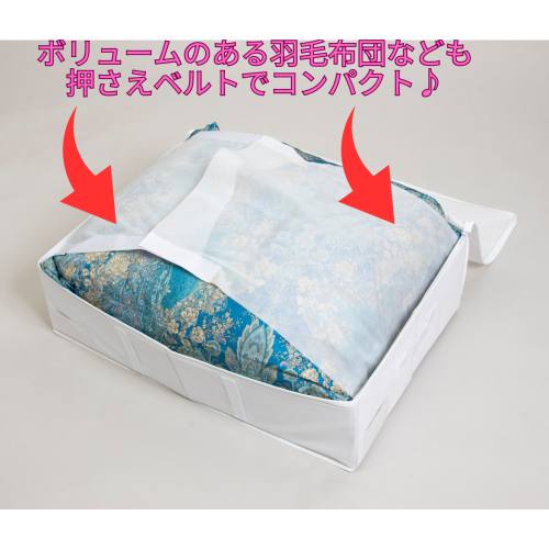  アストロ アストロ 寝具用 収納ケース 2個組 890-04