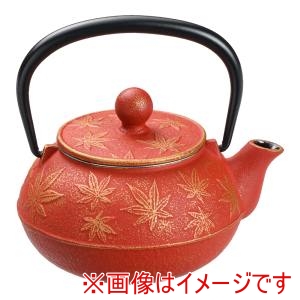 岩鋳 岩鋳 急須 カエデ 3型 金/赤茶