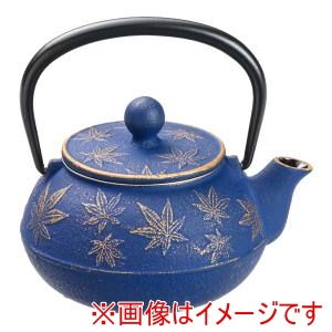 岩鋳 岩鋳 急須 カエデ 3型 金/ヨーロッパブルー