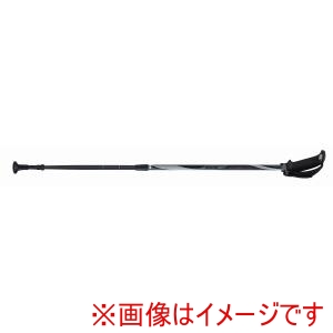 羽立工業 ＨＡＴＡＣＨＩ ハタチ WH1022 ノルディック ウォーキング フリーアルミＤフィット２ ブラック 9 HATACHI