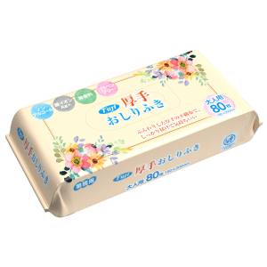 フジナップ FUJINAP フジナップ フジ厚手おしりふき 80枚 ×18  1ケース 20300 法人限定 メーカー直送 代引不可 北海道沖縄離島不可