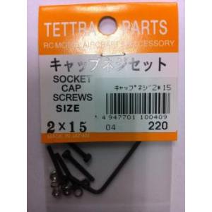 テトラ TETTRA テトラ キッップ ネジ 2×15 10040