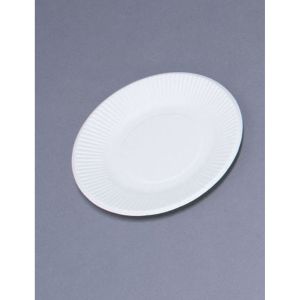 ペーパーウェア P&W スタンダードプレート 100枚入 5 181920