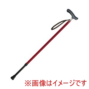 シナノ シナノ 533619 601265 抗ウイルス楽ーダ 伸縮 ボルドー