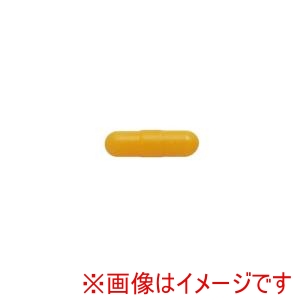 兼古製作所 アネックス Anex アネックス HBN-8 交換用先端ネジキャッチ8mm用 Anex 兼古製作所