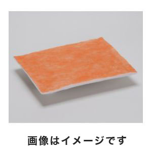 白光 HAKKO 白光 空気清浄式吸煙器 プレフィルター(10枚入) 1-3678-13 A1572