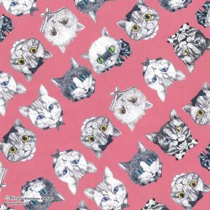 清原 KIYOHARA KIYOHARA Ringo ネコズ カットクロス 生地 オックス 巾約110cm×50cmカット CP キャンディピンク RINF-02C CP 清原