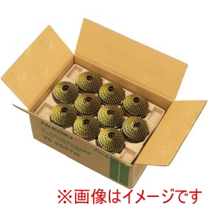 ハイコーキ HiKOKI ハイコーキ VS2557N 釘