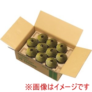 ハイコーキ HiKOKI ハイコーキ VS2565N2 釘