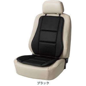 ボンフォーム BONFORM ボンフォーム 5780-07BK スタンダードメッシュ45x98cm(ダブル)BK
