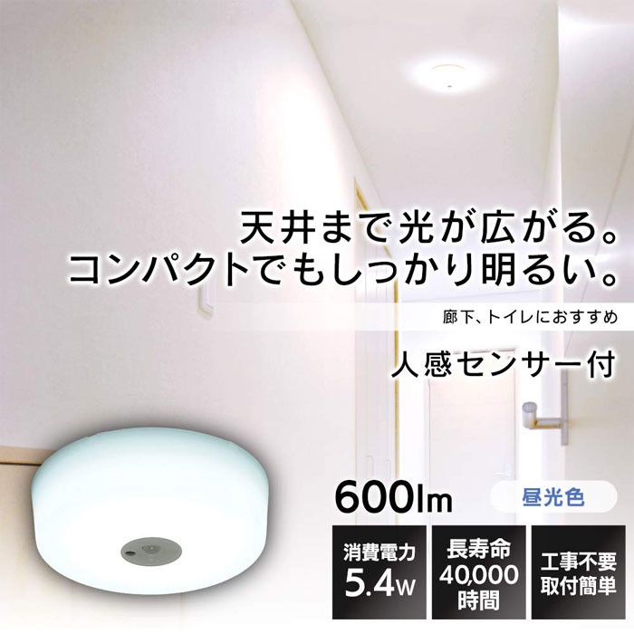  アイリスオーヤマ IRIS アイリスオーヤマ SCL6DMS-MCHL LED小型シーリングライト メタルサーキット 600lm 昼光色 人感センサー付