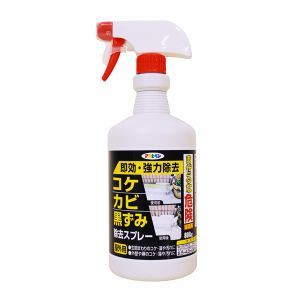 アサヒペン アサヒペン コケ カビ 黒ずみ除去スプレー 800G