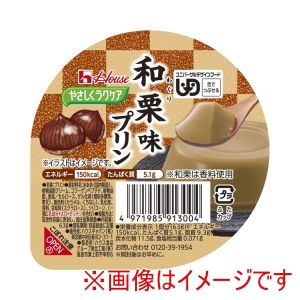 ハウスギャバン ハウスギャバン 503027 091300 やさしくラクケア 和栗味プリン 63g