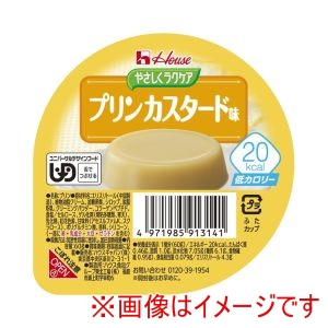 ハウスギャバン ハウスギャバン 528207 091314 やさしくラクケア 20kcalプリンカスタード味 60g