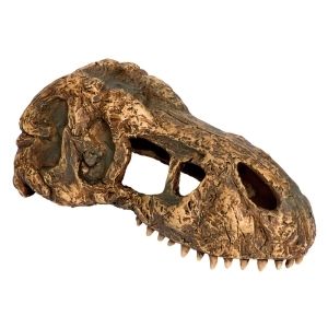 ジェックス GEX ジェックス PT2860 T‐REXスカル S
