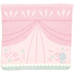 スケーター SKATER スケーター アリエル 吸水速乾バスタオル 60×120cm TODR1