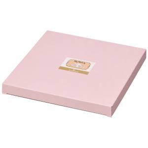 スケーター SKATER スケーター マイメロ ドローイング プレート 皿 23cm CBPL23