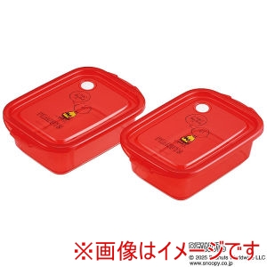 スケーター SKATER スケーター スヌーピー チャーリーブラウン シールボックス M 2P 500ml FCN2W