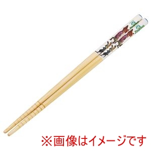 スケーター SKATER スケーター ズートピア 2 竹 箸 21cm ANT4C