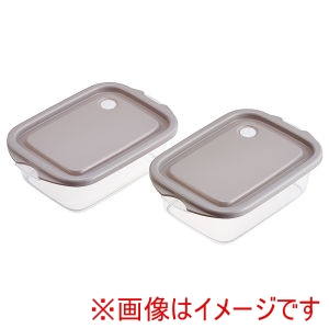 スケーター SKATER スケーター シールボックス M 2P 500ml スモーキーグレー FCN2W