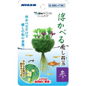 マルカン MG マルカン テーブルアクア 浮かべる癒し苔玉 参(サン)