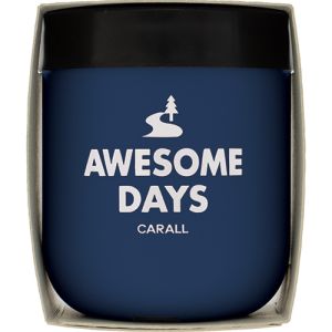 晴香堂 カーオール CARALL 晴香堂 オーサムデイズゲル ウォーターシャワー 3557