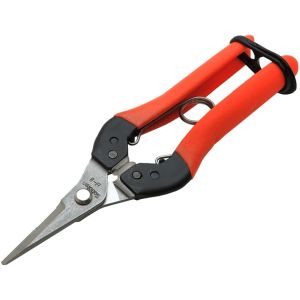 サボテン サボテン B-8 ぶどう収穫専用鋏シャインカット