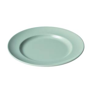 エンテック ENTEC エンテック 青磁 平皿 リム型 8インチ CS-22