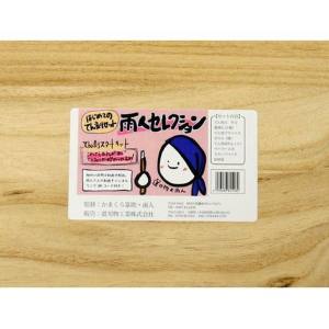 道刃物工業 道刃物工業 はじめてのてん刻セット 雨人セレクション