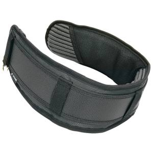 E-Value E-Value ESB-2GRAY サポートベルト グレー