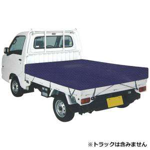 SK11 SK11 SKS-C1921BL 軽トラックシート 彩色