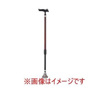 フジホーム フジホーム 350846 WB3824 かるがも3ポイントステッキ バーズアイレッド