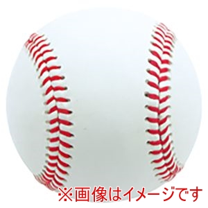 プロマーク Promark プロマーク BB-910 硬式練習球 1球入 WH