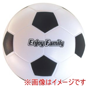 エンジョイファミリー Enjoy Family エンジョイファミリー FSP-1618 パークスポーツボール サッカー or バスケット