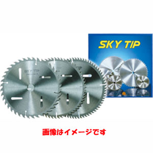 ハウスビーエム HOUSE BM ハウスビーエム TIP-18040 スカイチップソー箱入 180×40P HOUSE BM