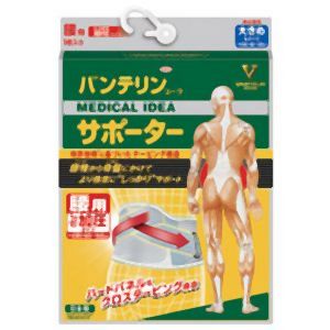 興和 Kowa バンテリンサポーター腰加圧大きめ BG  1個