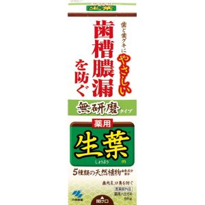 小林製薬 小林製薬 生葉 無研磨タイプ 95g