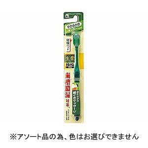 小林製薬 小林製薬 生葉 極幅ブラシ やわらかめ 1本