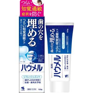 小林製薬 小林製薬 ハウメル 薬用ハミガキ 100g