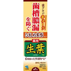 小林製薬 小林製薬 ひきしめ生葉 100g