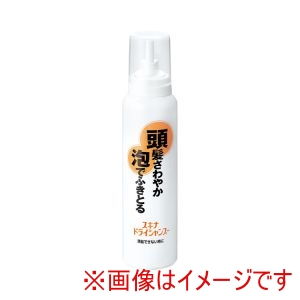 持田ヘルスケア 持田ヘルスケア スキナ ドライシャンプー 140g