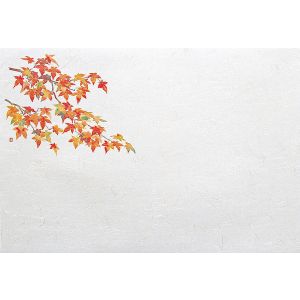 ヤマコー 用美 YAMACO ヤマコー 尺5 雲竜和紙 懐石まっと 四季 紅葉 100枚入 65185 用美