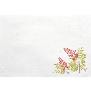 ヤマコー 用美 YAMACO ヤマコー 尺5 雲竜和紙 懐石まっと 四季 南天 100枚入 65333 用美