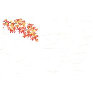 ヤマコー 用美 YAMACO ヤマコー 尺3 四季彩まっと 花便り 赤もみじ 100枚入 66631 用美