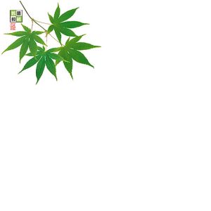 ヤマコー 用美 YAMACO ヤマコー 4寸 抗菌この葉敷紙 青もみじ 100枚入 66783 用美